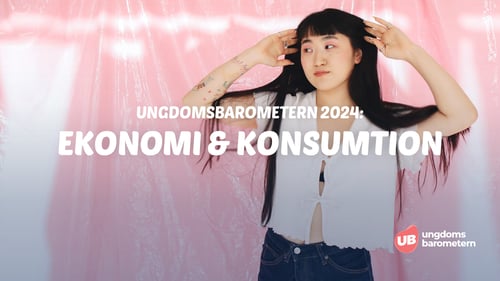 Ekonomi och konsumtion