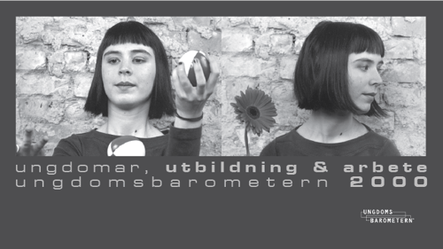Ungdomar, utbildning och arbete