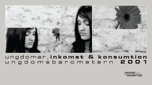 Ungdomar, inkomst och konsumtion