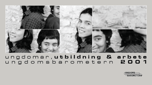 Ungdomar, utbildning och arbete