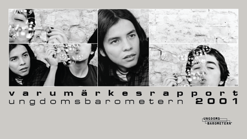 Varumärkesrapport