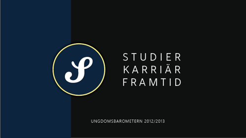 Studier, karriär och framtid