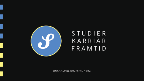 Studier, karriär och arbetsliv