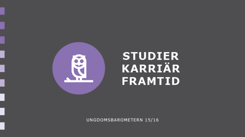 Studier, karriär och framtid