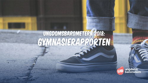 Gymnasierapporten