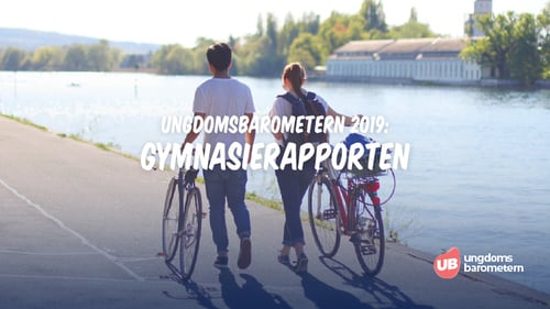 Gymnasierapporten