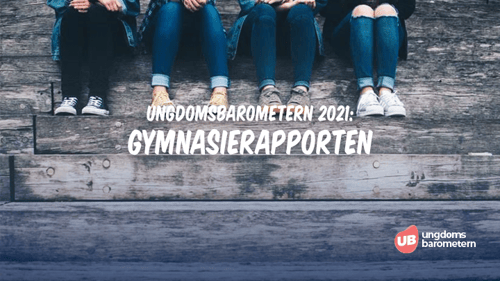 Gymnasierapporten