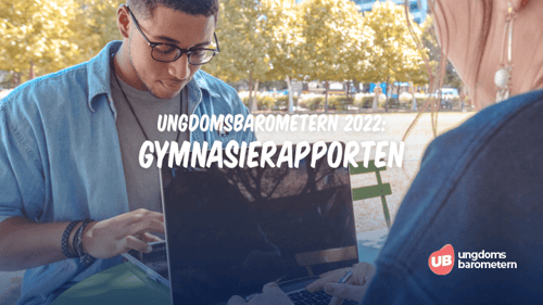 Gymnasierapporten