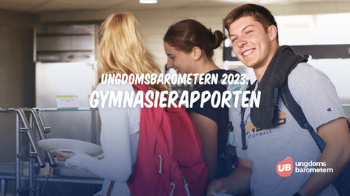 Gymnasierapporten